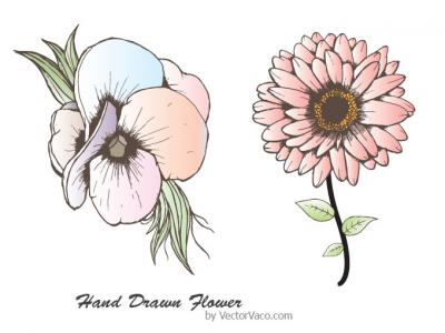 Hand Drawn Flower