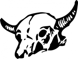 Head Dead Skull Bones Farm Cow Horns Animal