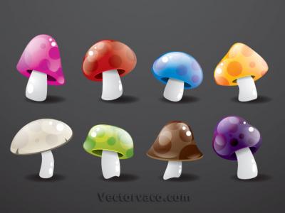 Mushroom Vector Set