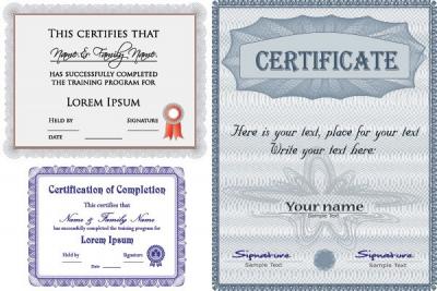 Official Certificate Vector