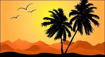 Palm tree in sunset