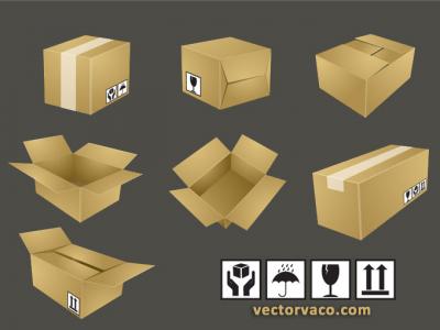 Shipping Box Vector
