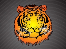 Tiger Head Vector