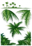 Tropical leaf set