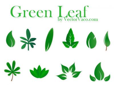 Vector Green Leaf